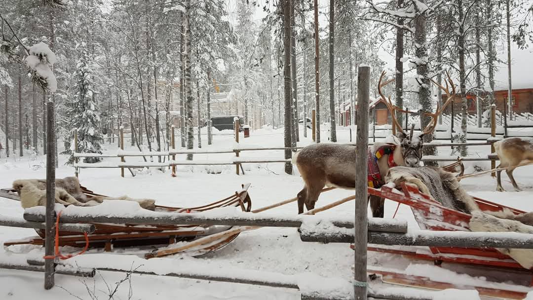 Rovaniemi 5
