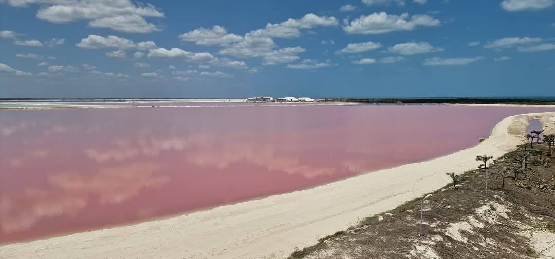 Las Coloradas 4