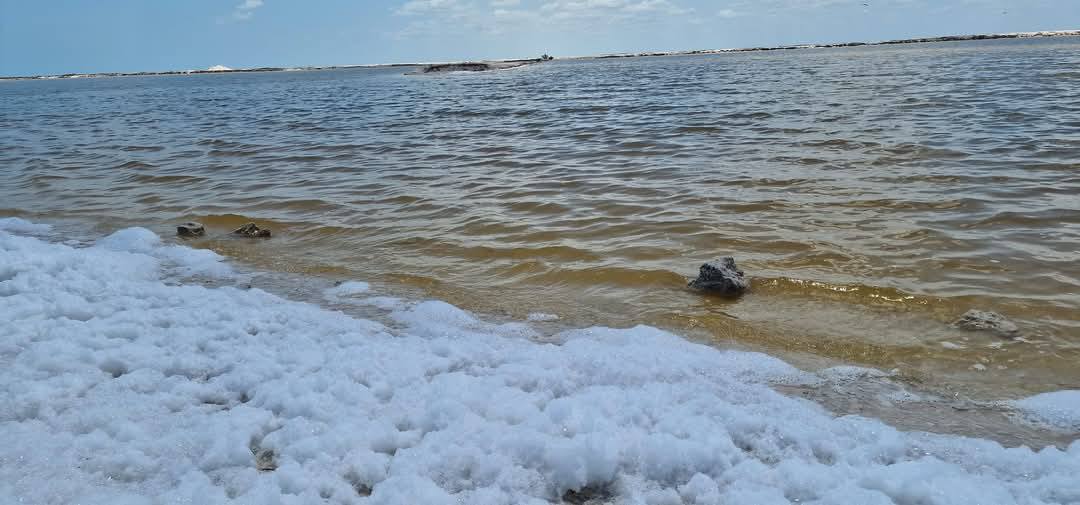 Las Coloradas 7