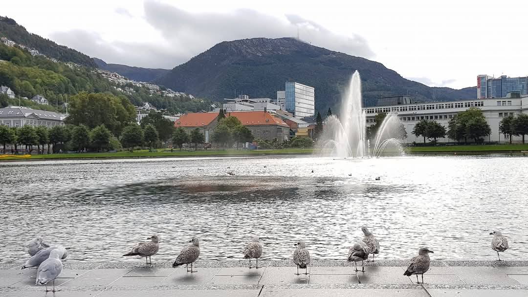 Bergen 3