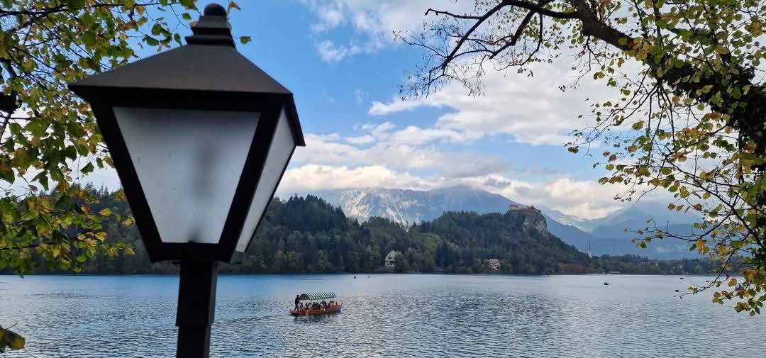 Bled 6