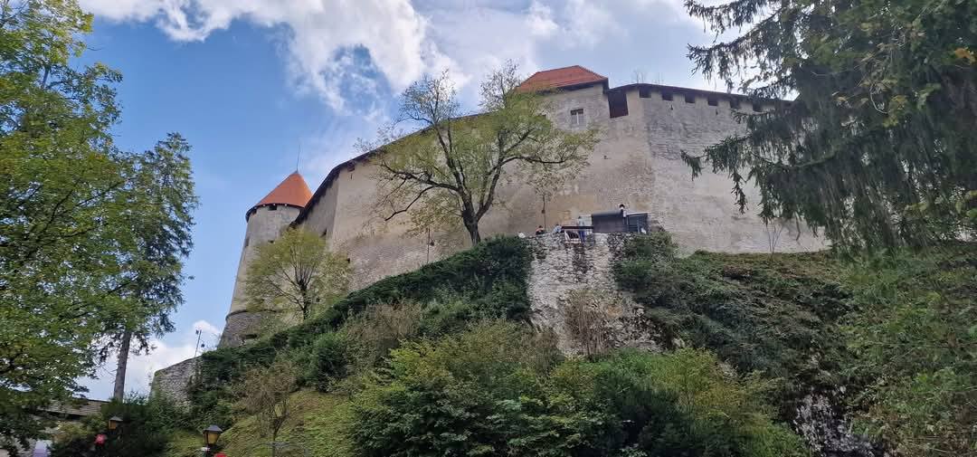 Bled 12
