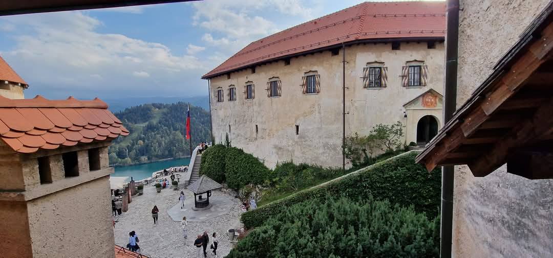 Bled 13