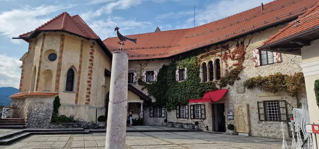 Bled 14