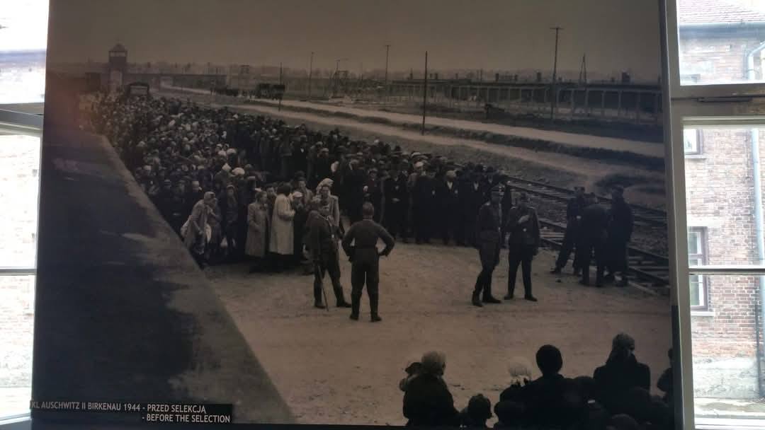 Auschwitz 4