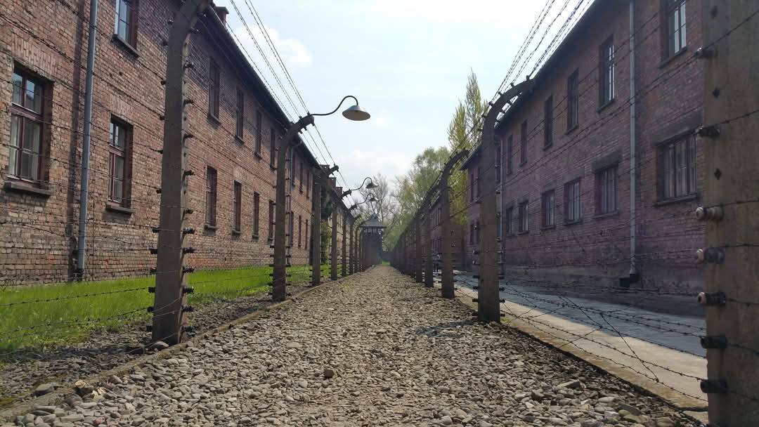 Auschwitz 6