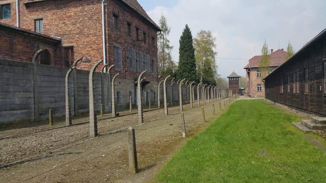 Auschwitz 8