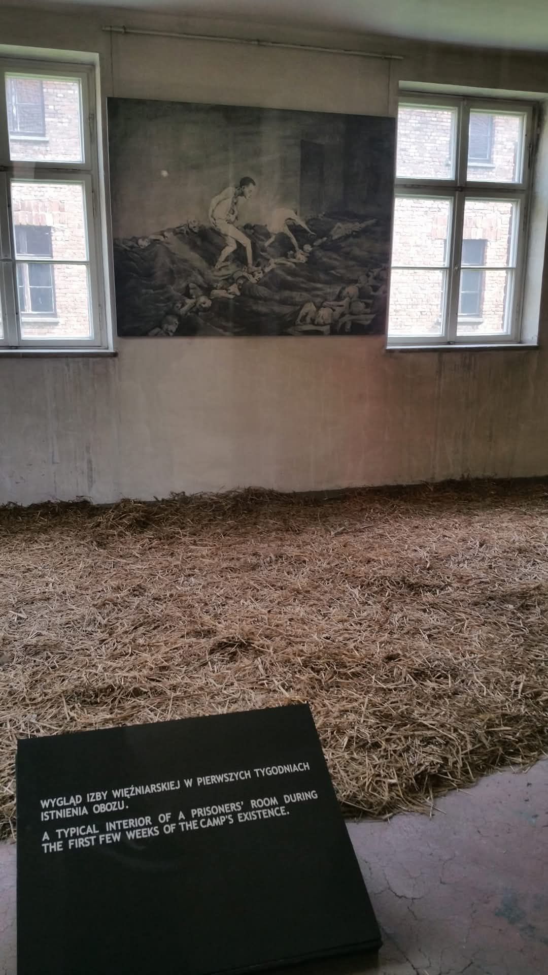 Auschwitz 11