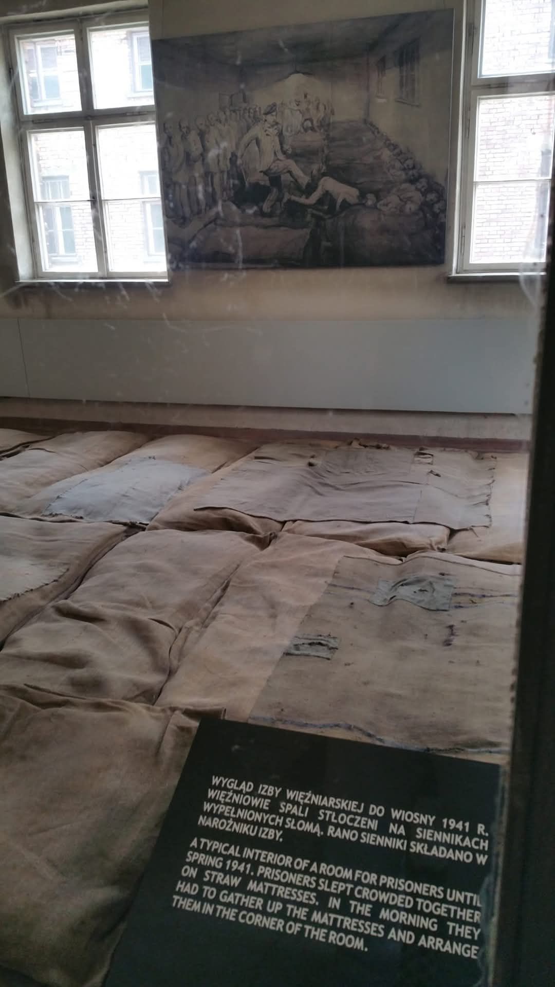 Auschwitz 12