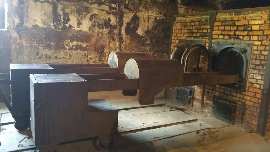 Auschwitz 13