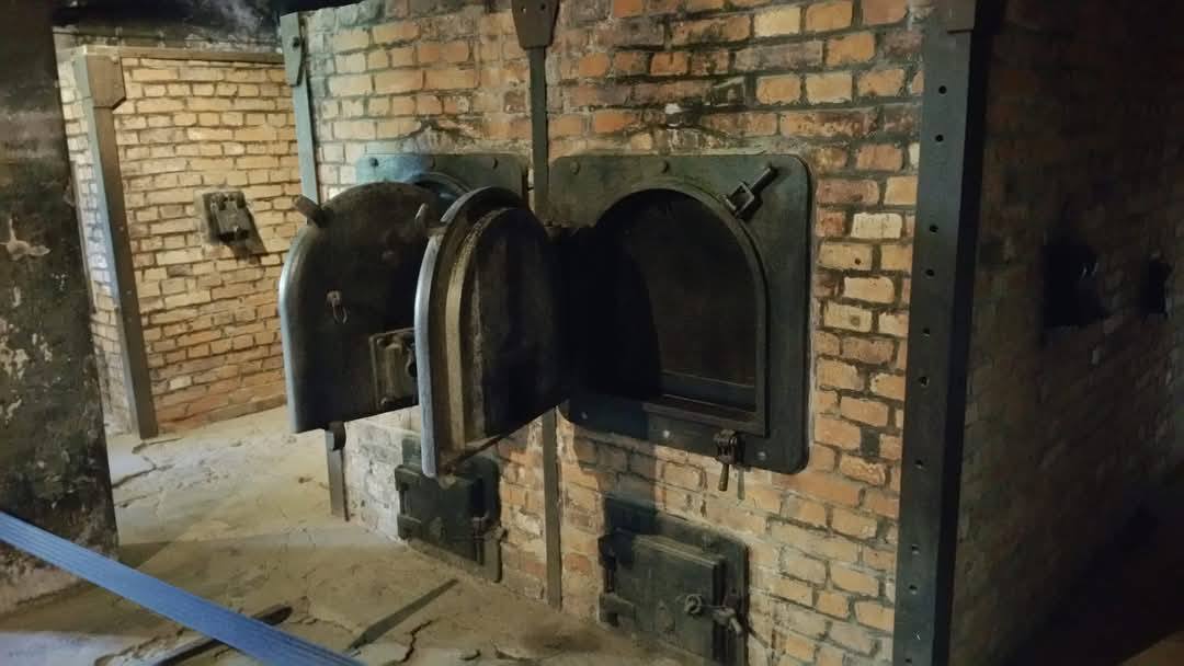 Auschwitz 14