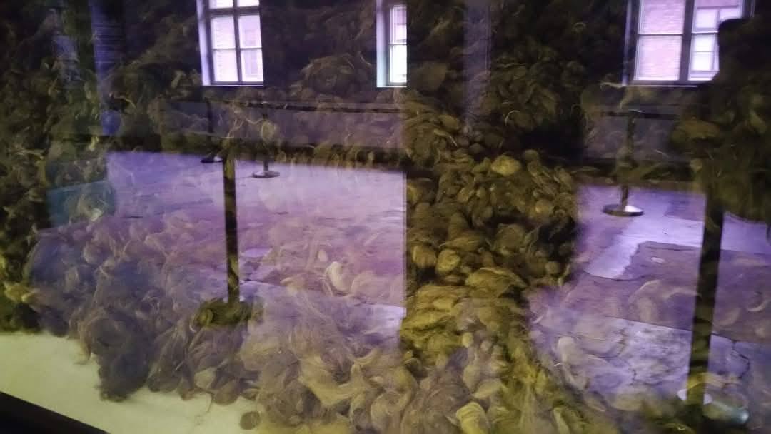 Auschwitz 19
