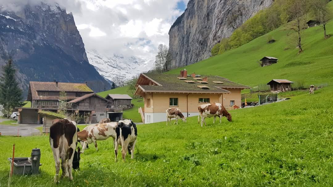 Lauterbrunnen 5