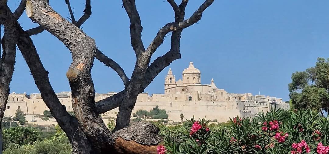 Mdina 5