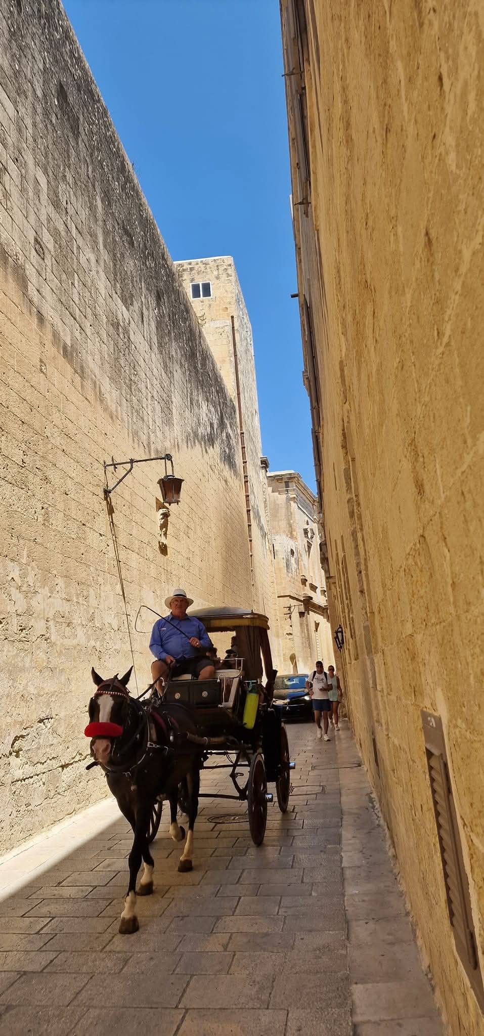 Mdina 7