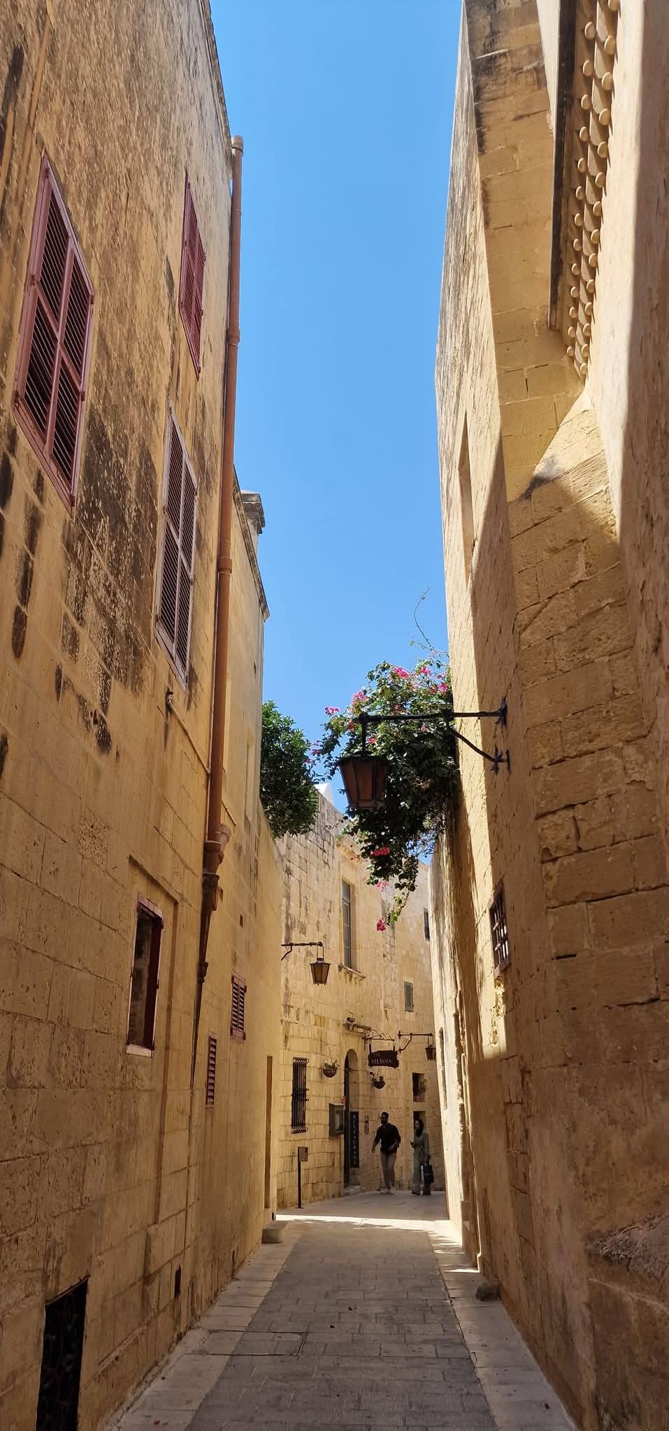 Mdina 14