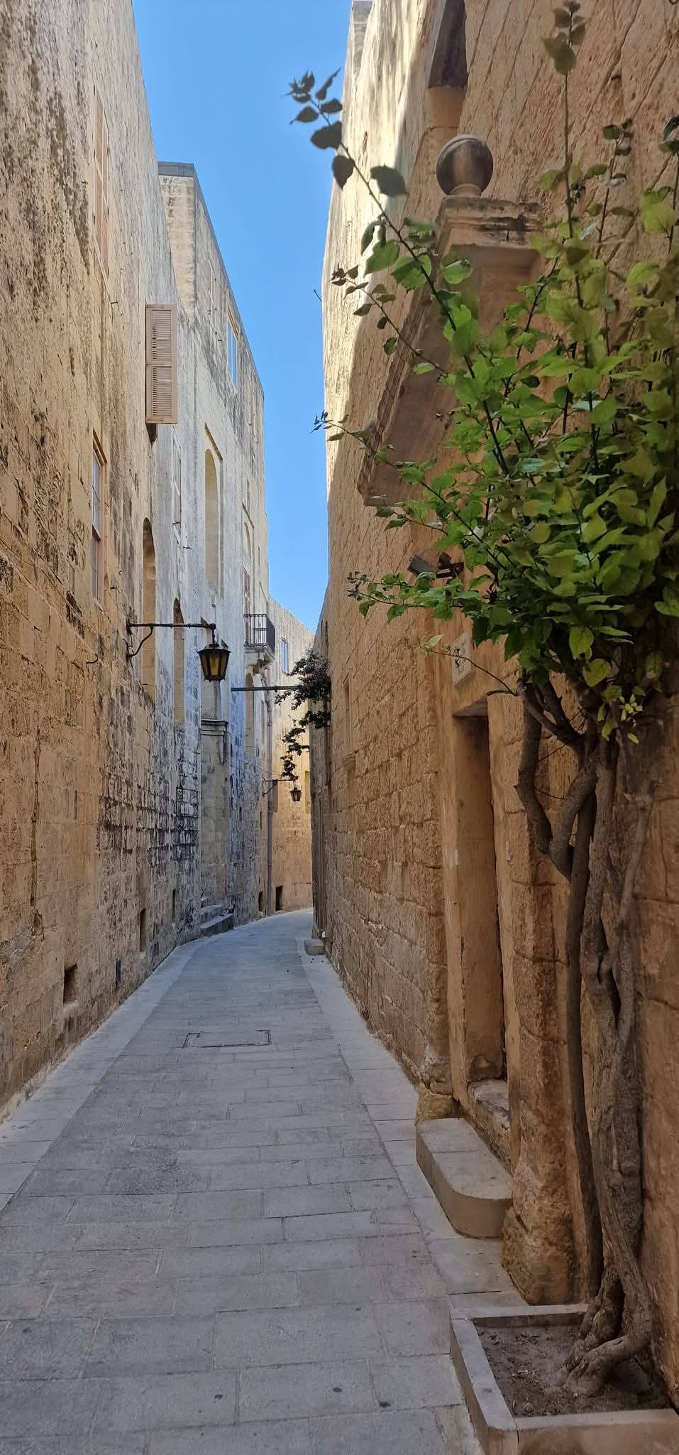 Mdina 15
