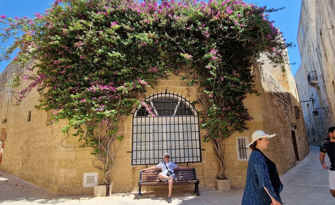 Mdina 21