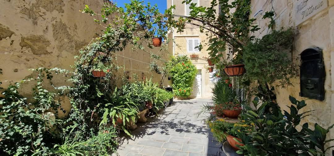 Rabat 7