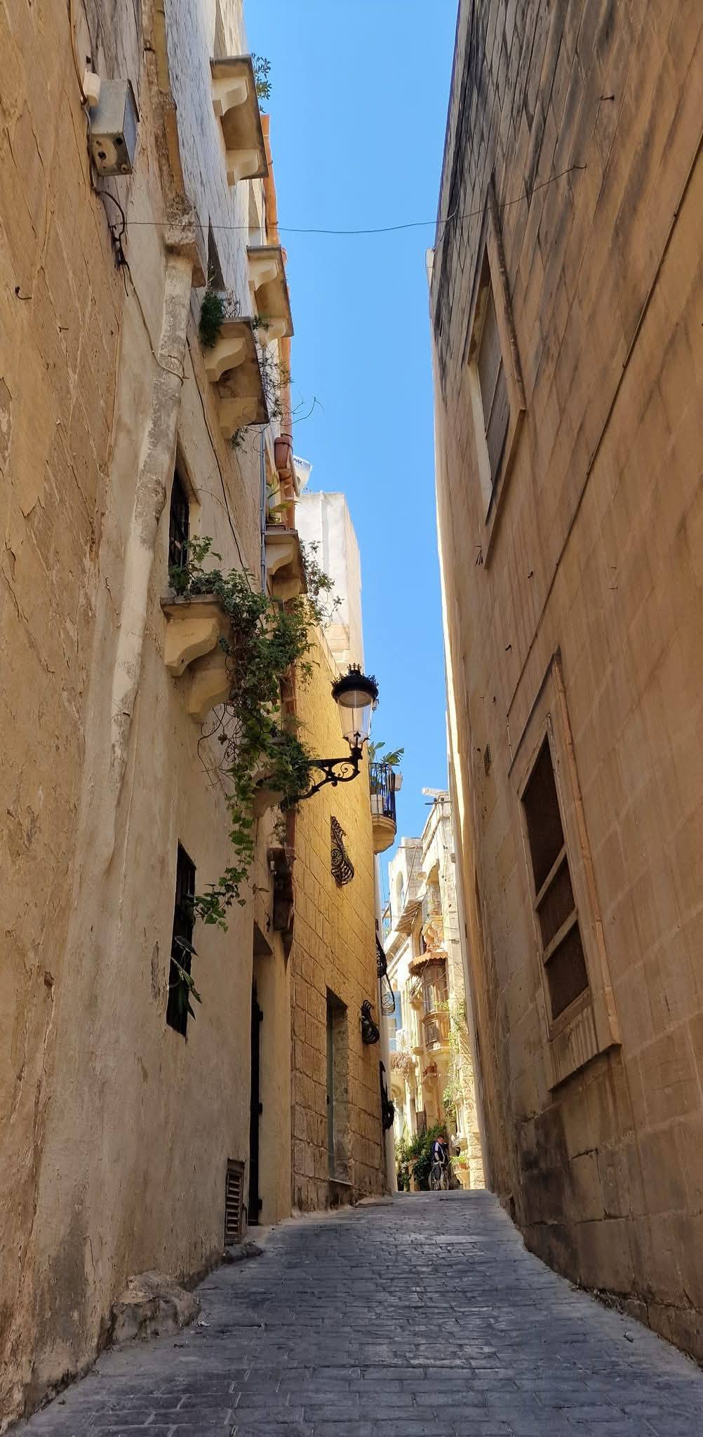 Rabat 14