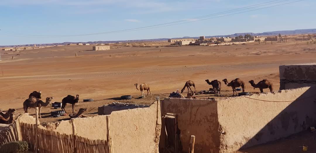 Merzouga 3