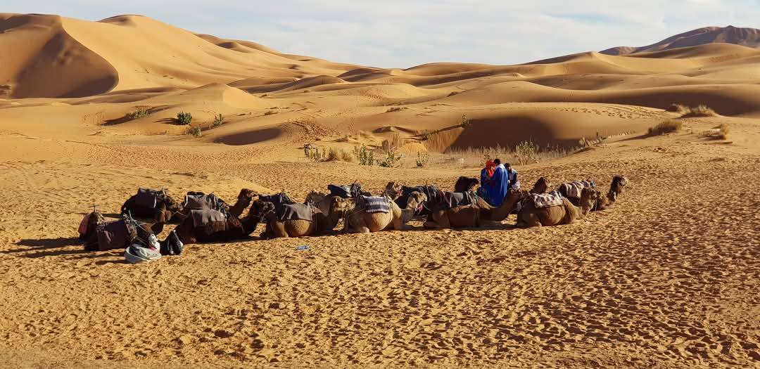 Merzouga 5
