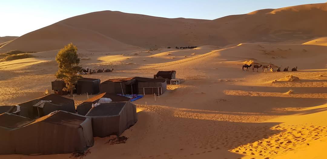 Merzouga 9