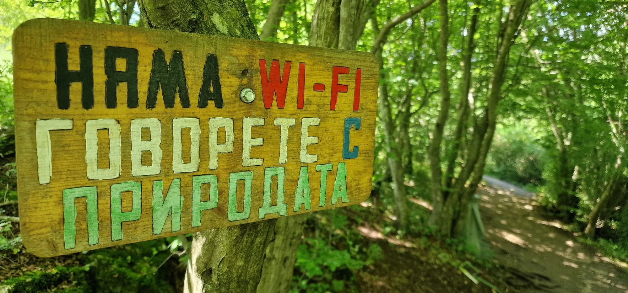 Zlatna Panega 6
