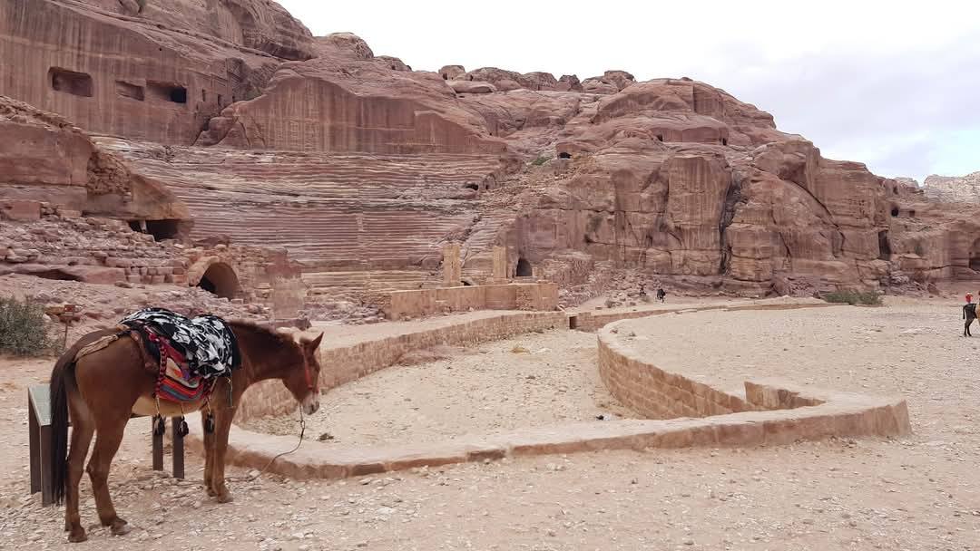 Petra 2