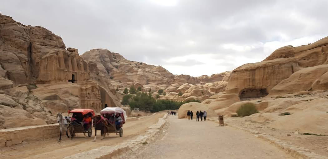 Petra 5
