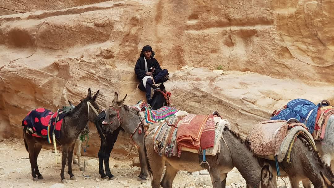 Petra 7
