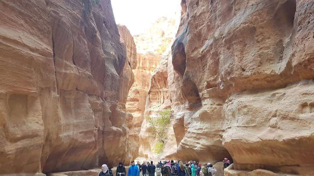 Petra 14