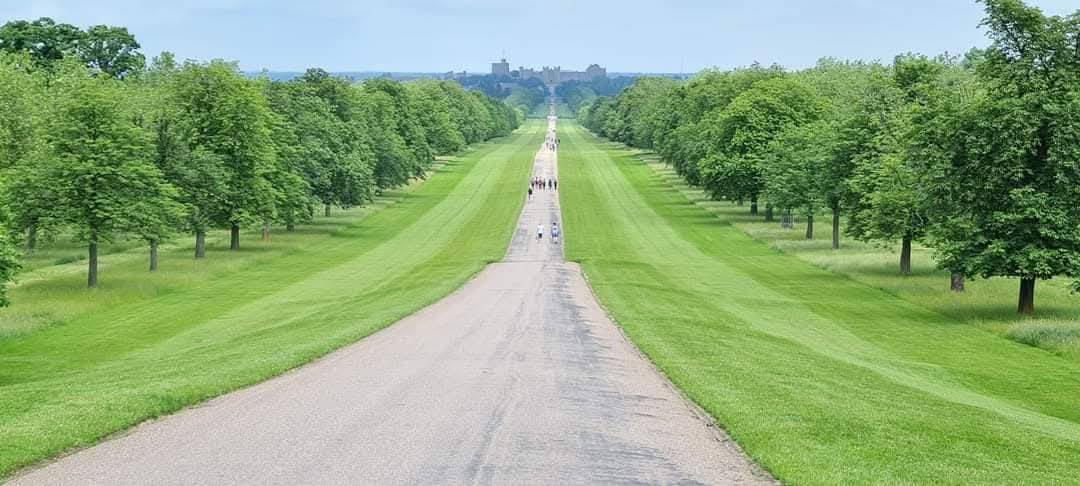 Windsor Castle 15