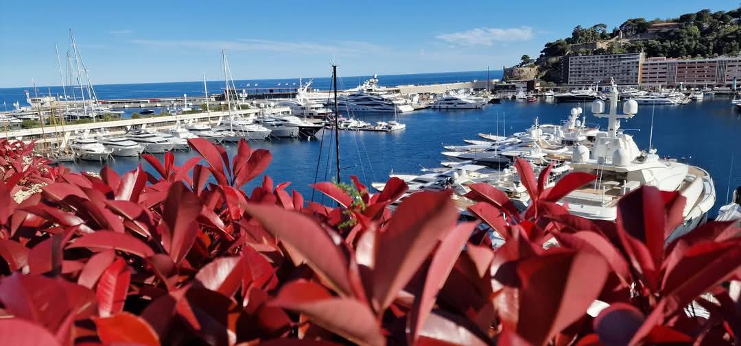 Monaco 10
