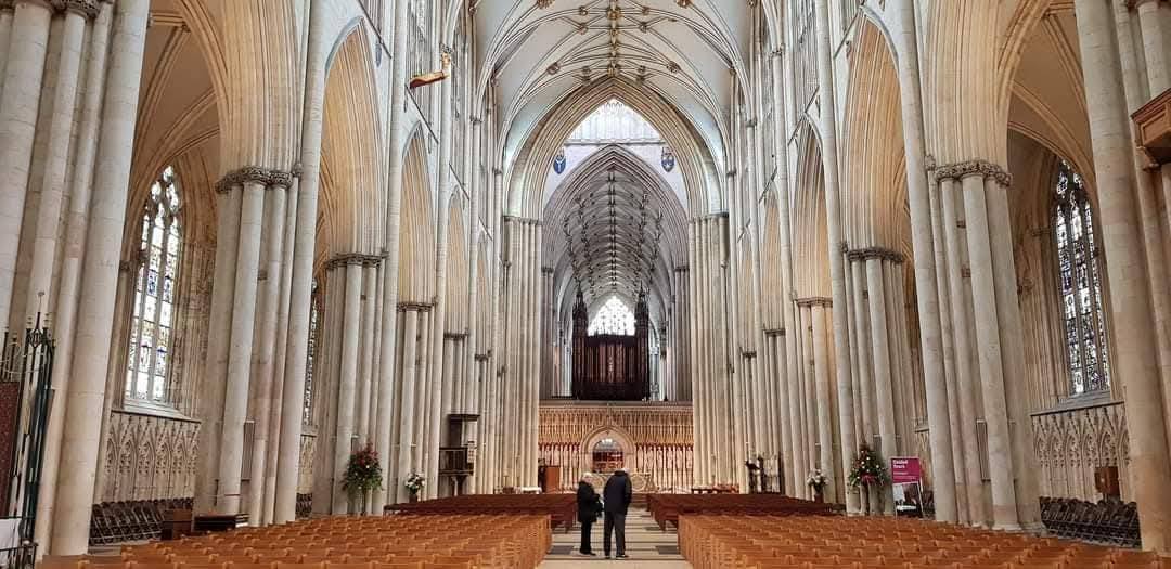 York 11