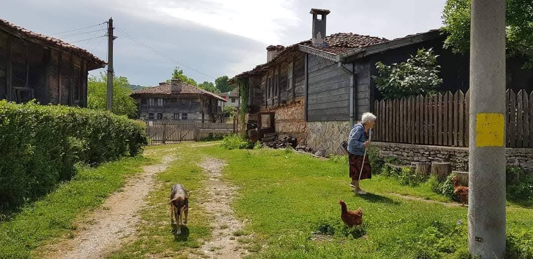 Brashlyan Village 8