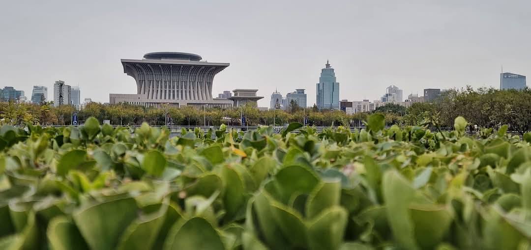 Beijing 5