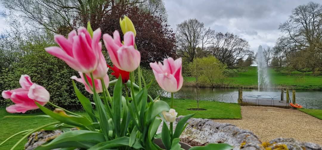 Burghley House 9