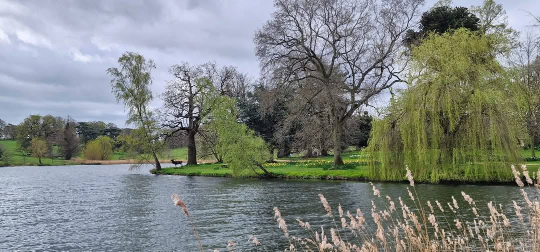 Burghley House 10