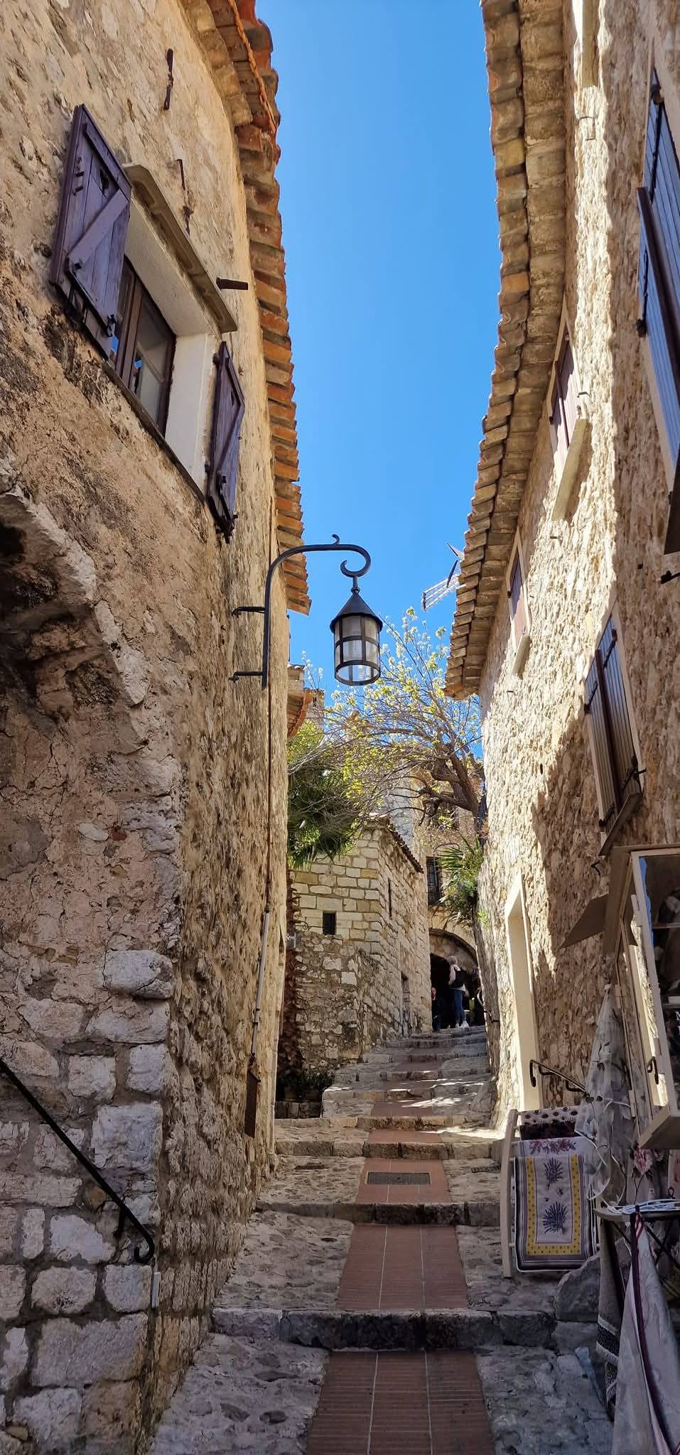 Eze 8