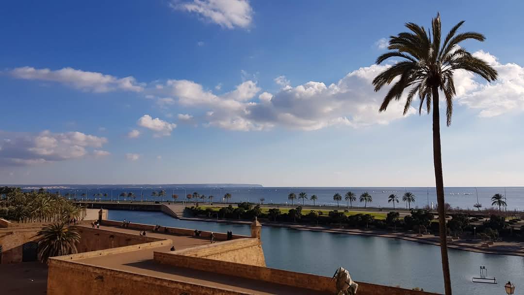 Palma de Mallorca 5