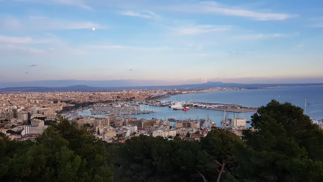 Palma de Mallorca 7