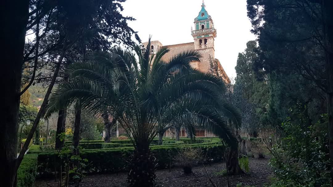 Palma de Mallorca 14