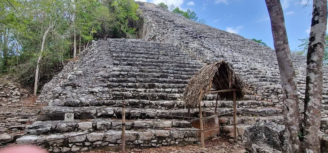 Coba 8