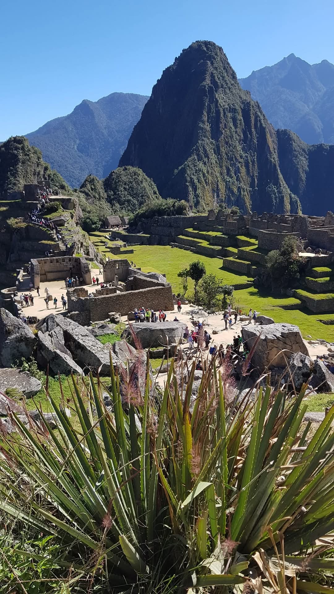 Machu Picchu 8