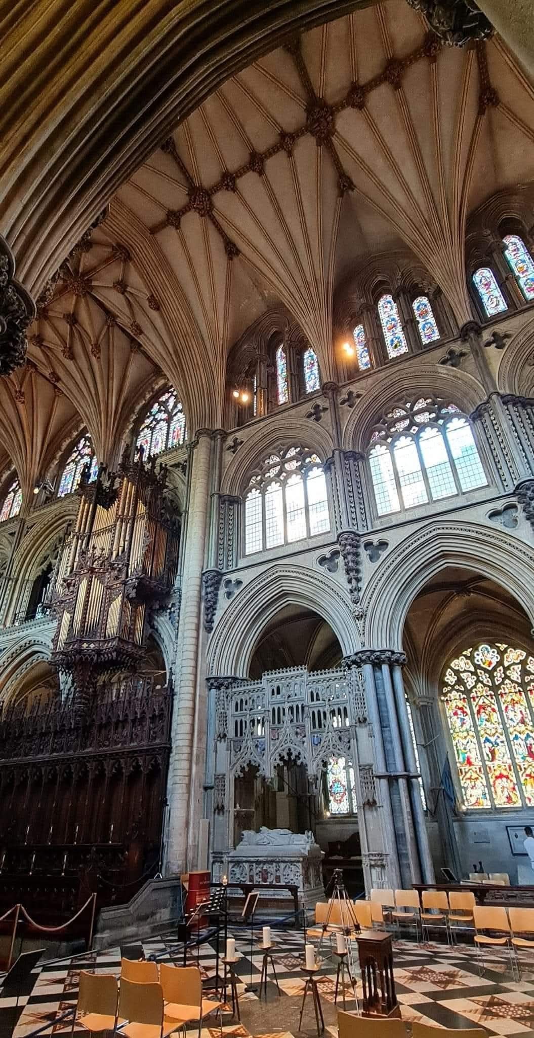 ELY 5