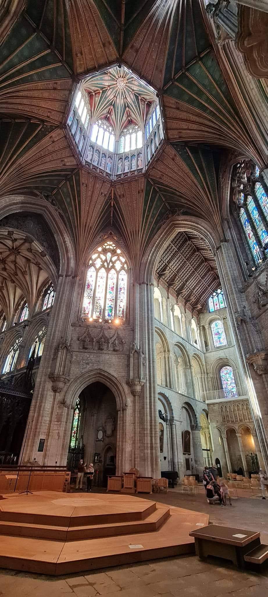 ELY 6