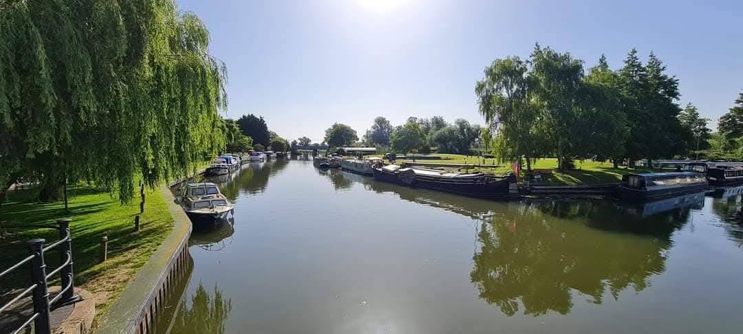 ELY 16