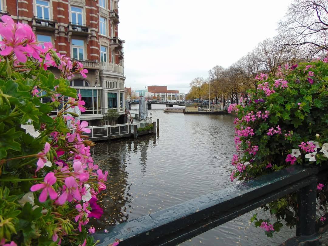 Amsterdam 5