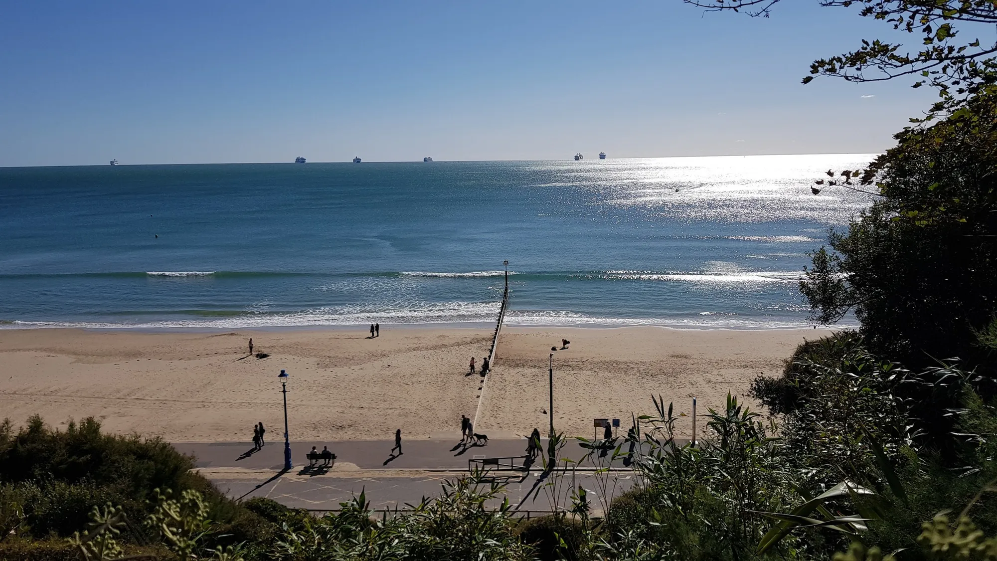 Bournemouth 12